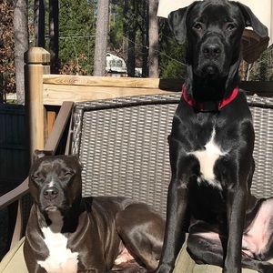 Meet your Posher, Leanne